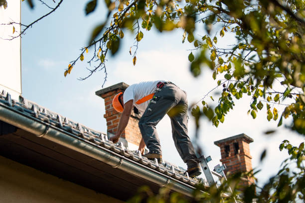 Best Sealant for Roof  in Bannockburn, IL